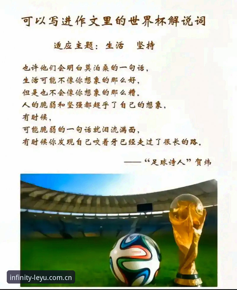 资深足球迷分享在乐鱼体育平台感受卡拉格赛事言论的心得体验